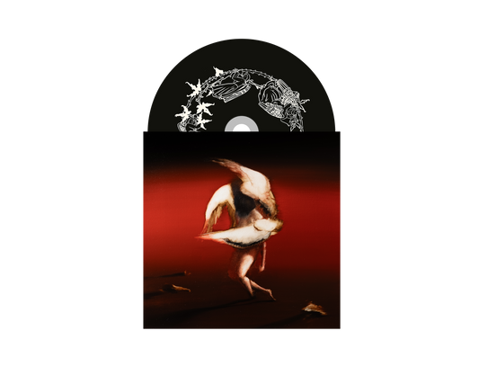 Pain To Power | Standard CD